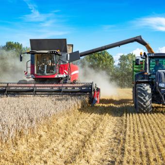 AdobeStock 169208339